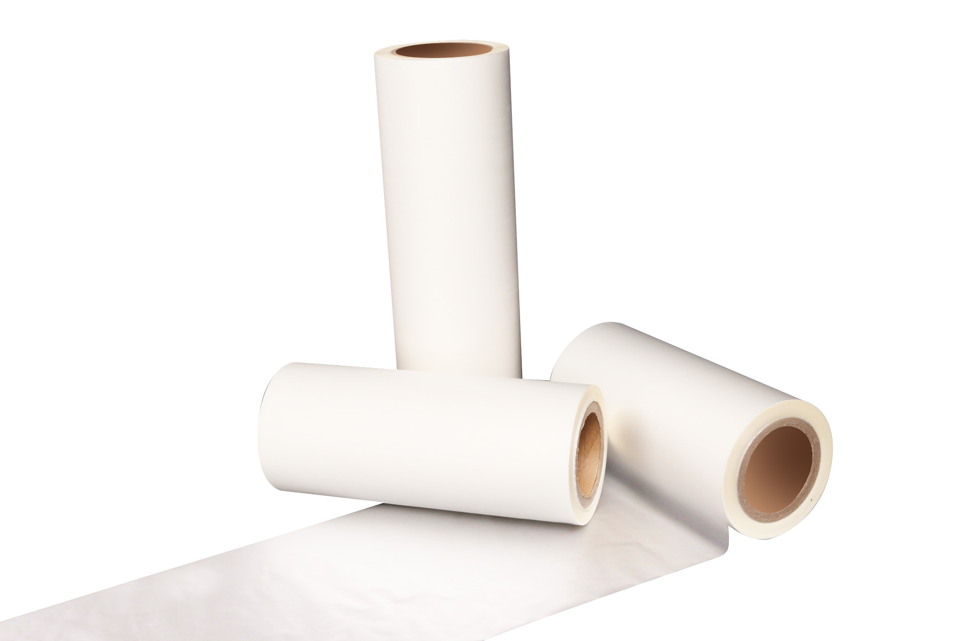 film termal hewan peliharaan